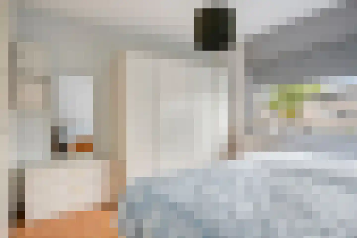 Laan van Othene 68 Terneuzen thumbnail 16