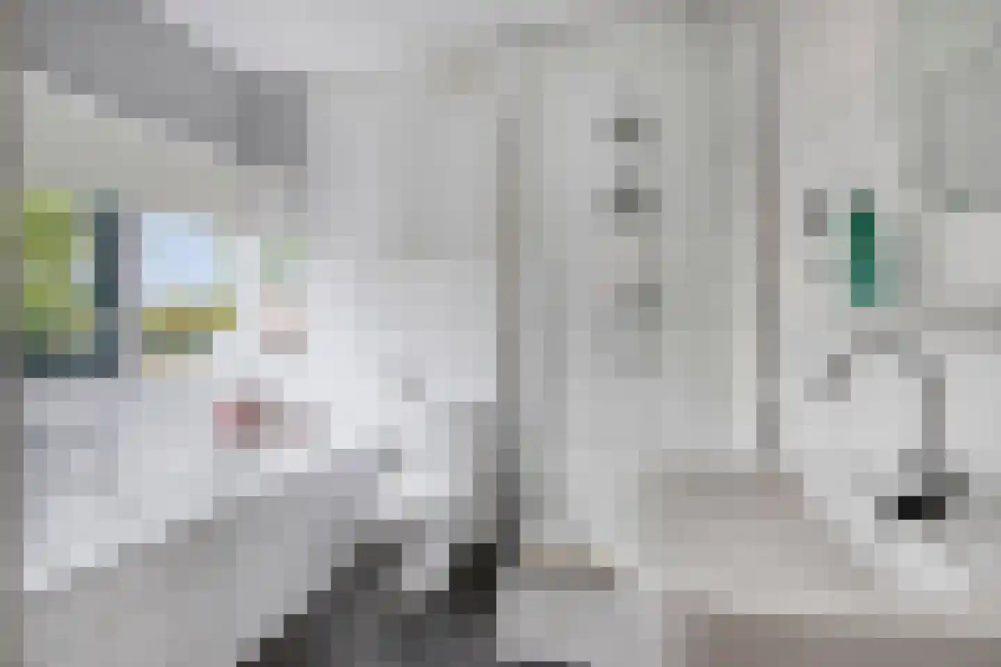 Laan van Othene 68 Terneuzen thumbnail 17