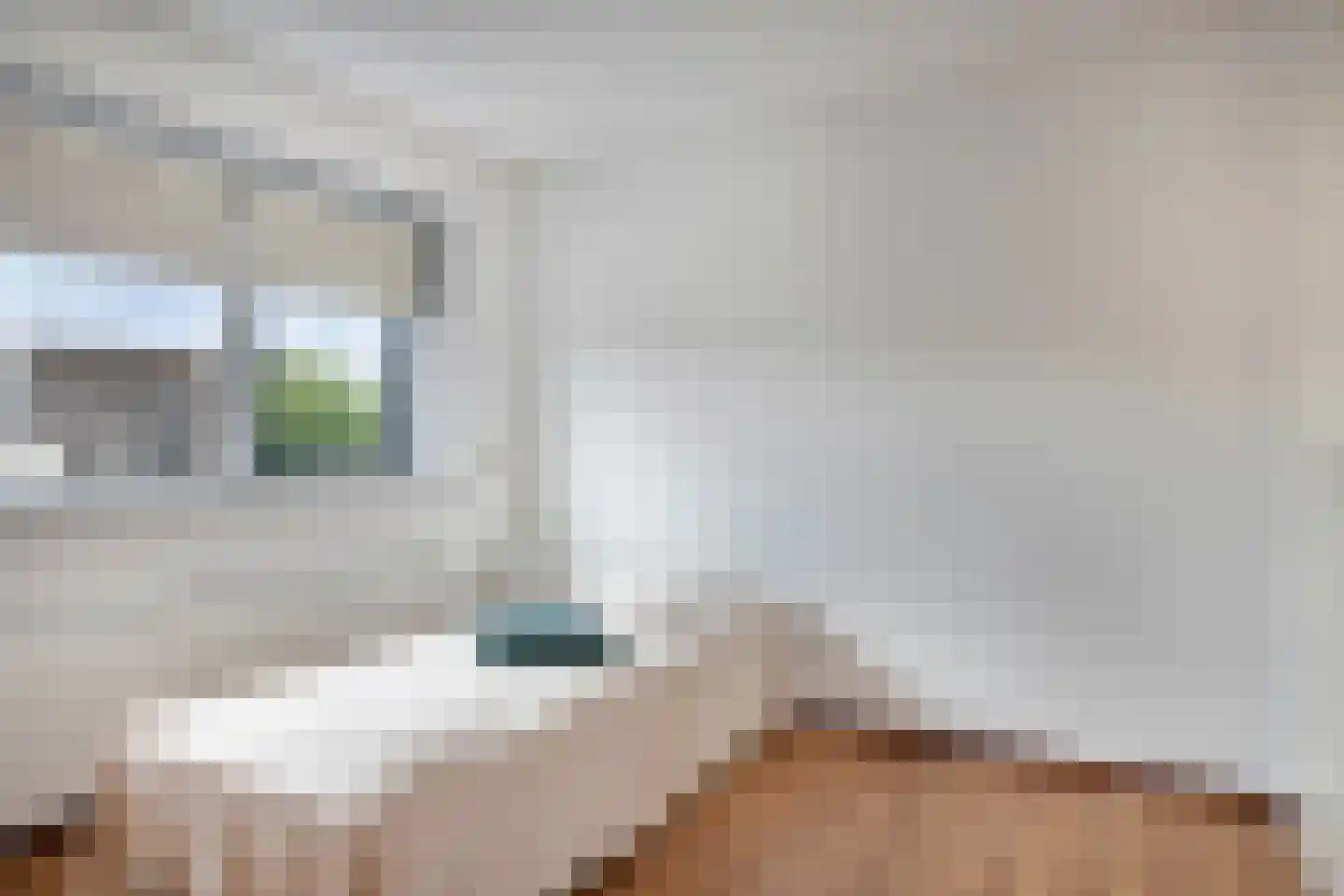 Laan van Othene 68 Terneuzen thumbnail 19