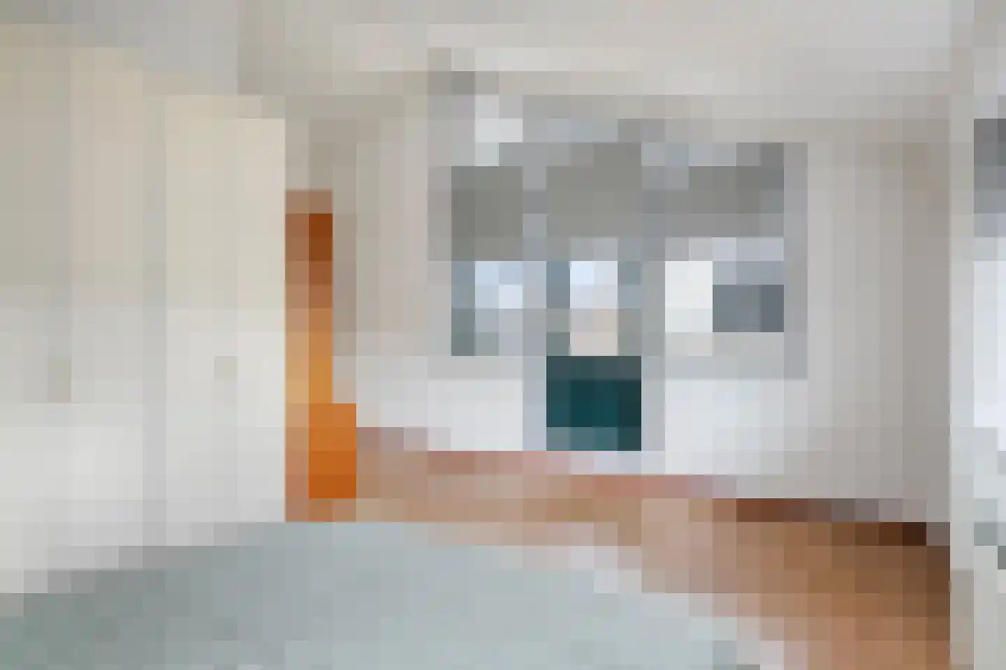 Laan van Othene 68 Terneuzen thumbnail 26