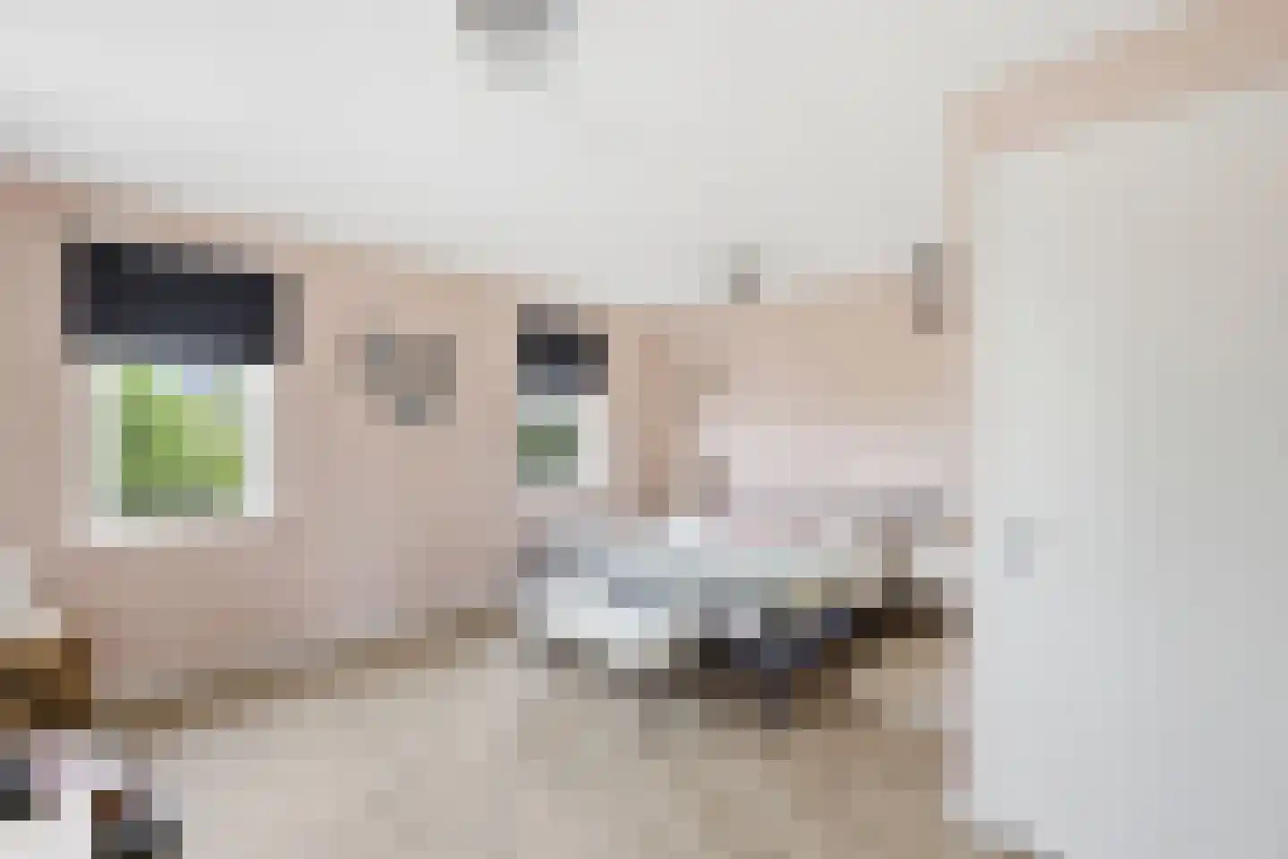 Laan van Othene 88 Terneuzen thumbnail 11