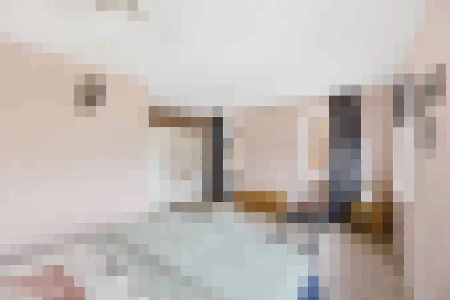 Laan van Othene 88 Terneuzen thumbnail 12