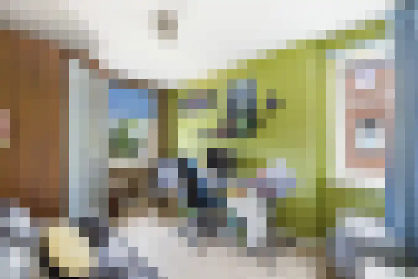 Laan van Othene 88 Terneuzen thumbnail 13
