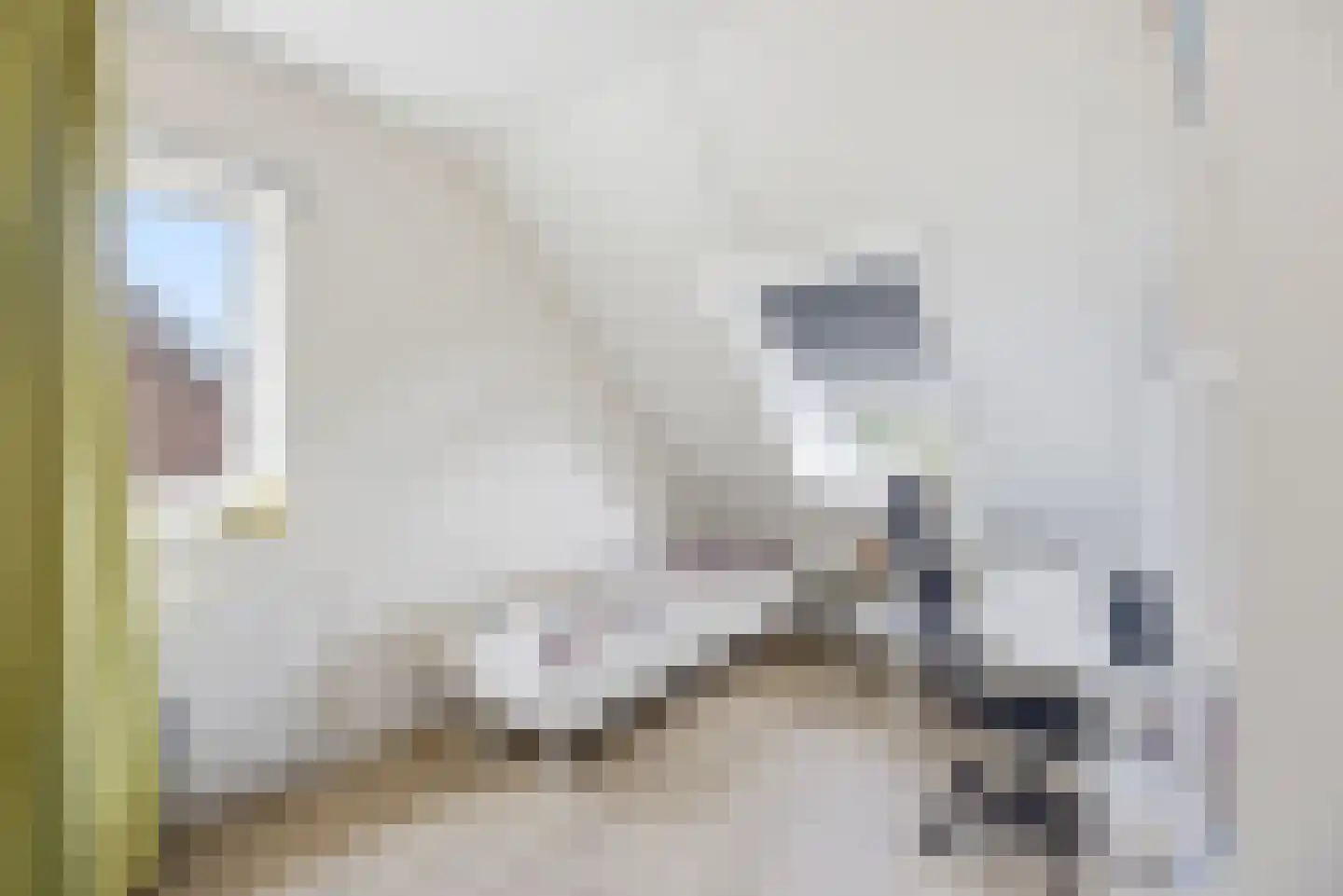 Laan van Othene 88 Terneuzen thumbnail 18