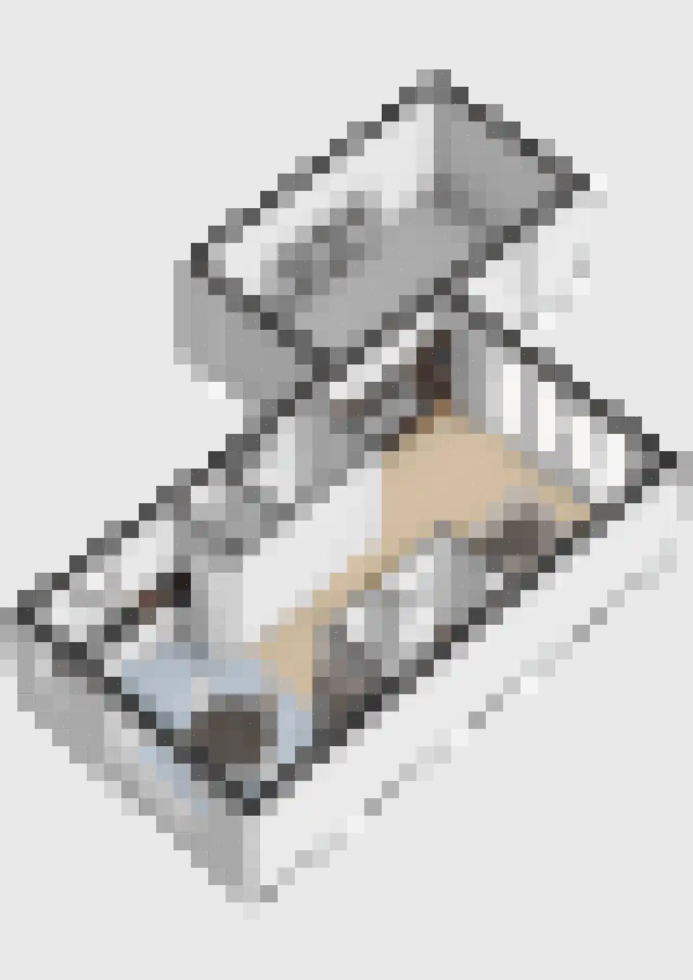 Laan van Othene 88 Terneuzen thumbnail 30
