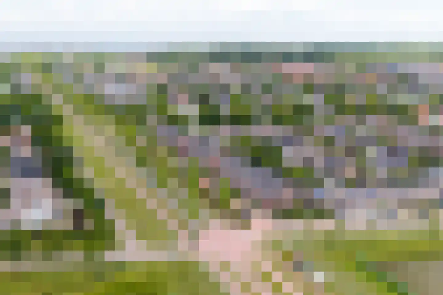 Laan van Othene 88 Terneuzen thumbnail 4
