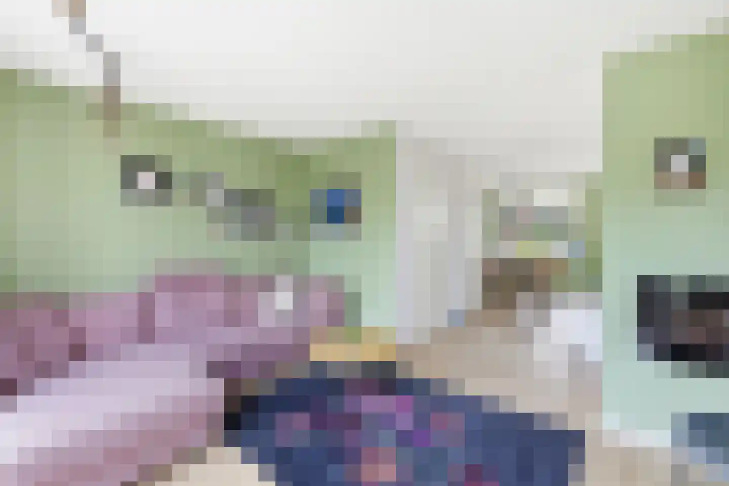 Laan van Othene 88 Terneuzen thumbnail 6