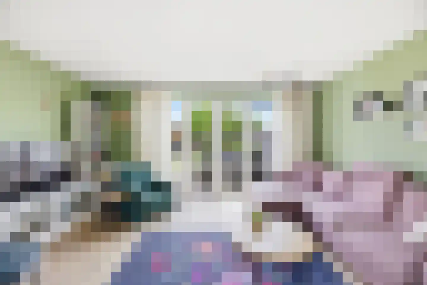 Laan van Othene 88 Terneuzen thumbnail 7