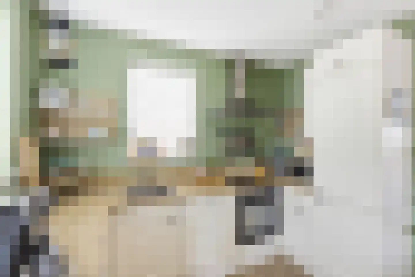 Laan van Othene 88 Terneuzen thumbnail 9