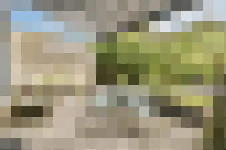 Laan van Oud-Kralingen 9 Rotterdam thumbnail 12
