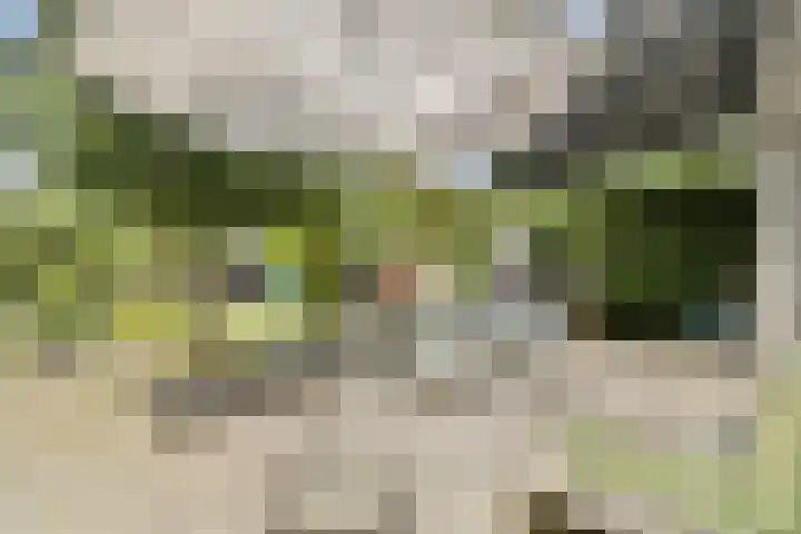 Laan van Oud-Kralingen 9 Rotterdam thumbnail 13