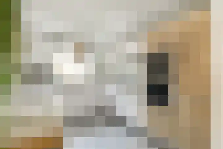 Laan van Oud-Kralingen 9 Rotterdam thumbnail 16