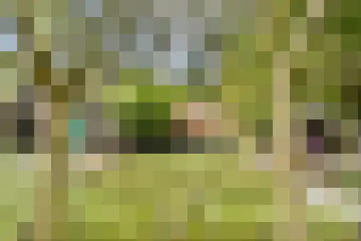 Laan van Oud-Kralingen 9 Rotterdam thumbnail 31