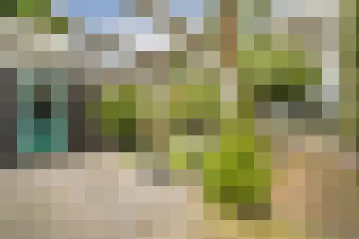 Laan van Oud-Kralingen 9 Rotterdam thumbnail 4