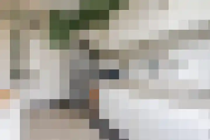 Laan van Oud-Poelgeest 18 Oegstgeest thumbnail 21