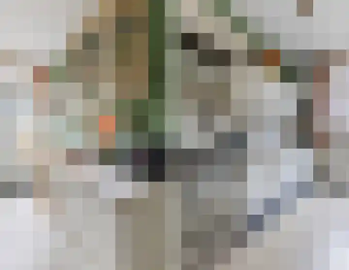 Laan van Oud-Poelgeest 18 Oegstgeest thumbnail 22