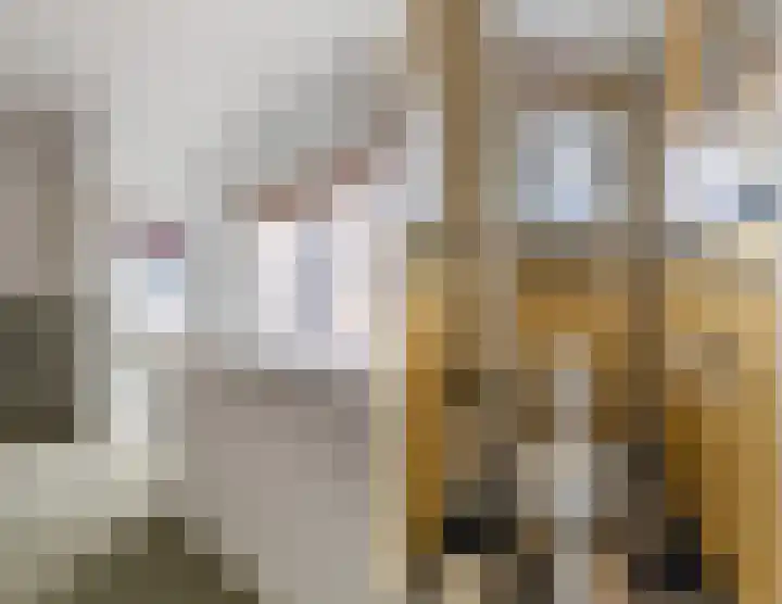 Laan van Oud-Poelgeest 18 Oegstgeest thumbnail 28