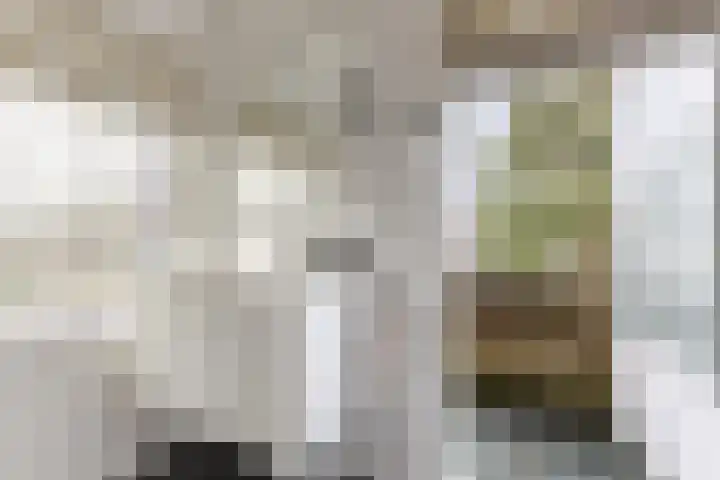 Laan van Oud-Poelgeest 18 Oegstgeest thumbnail 29