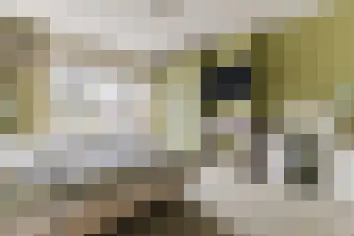 Laan van Oud-Poelgeest 18 Oegstgeest thumbnail 32