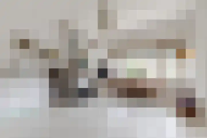Laan van Oud-Poelgeest 18 Oegstgeest thumbnail 34