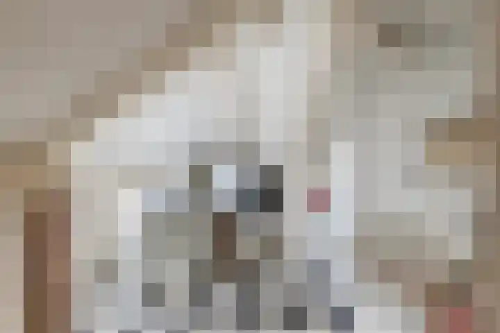Laan van Oud-Poelgeest 18 Oegstgeest thumbnail 44