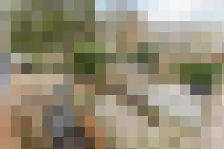 Laan van Oud-Poelgeest 18 Oegstgeest thumbnail 47