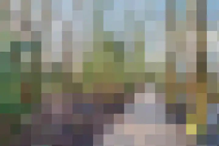 Laan van Oud-Poelgeest 18 Oegstgeest thumbnail 50