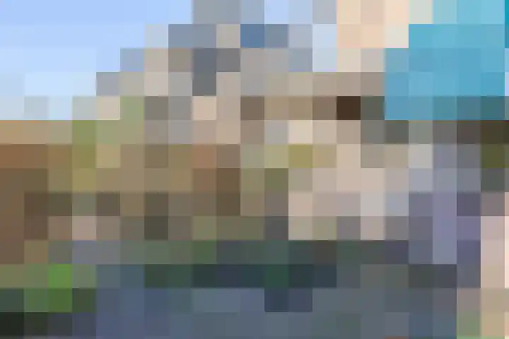 Laan van Oud-Poelgeest 18 Oegstgeest thumbnail 6