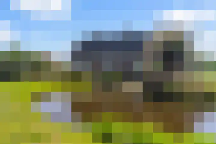Laan van Oud Raadwijk 2 Zoeterwoude