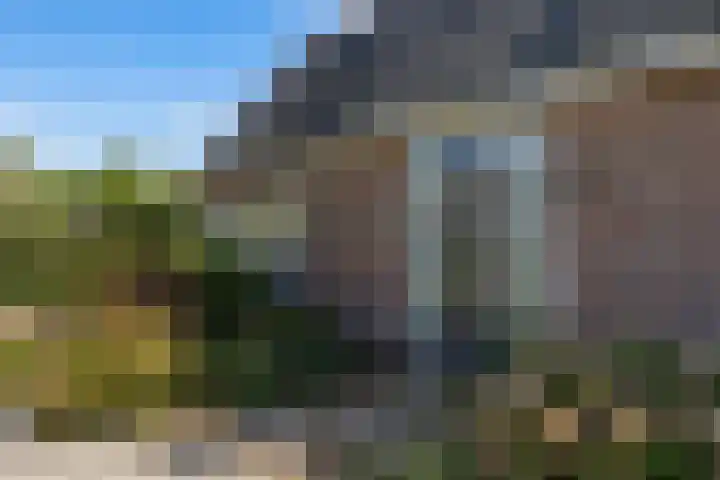Laan van Oud Raadwijk 2 Zoeterwoude thumbnail 10