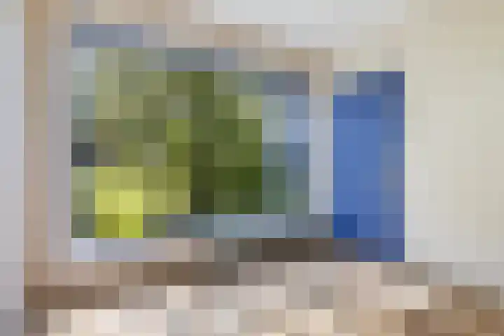 Laan van Oud Raadwijk 2 Zoeterwoude thumbnail 14