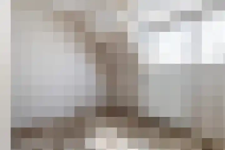 Laan van Oud Raadwijk 2 Zoeterwoude thumbnail 17