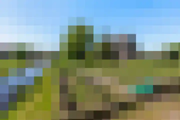 Laan van Oud Raadwijk 2 Zoeterwoude foto 2
