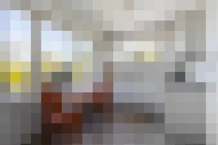 Laan van Oud Raadwijk 2 Zoeterwoude thumbnail 22