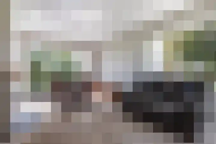 Laan van Oud Raadwijk 2 Zoeterwoude thumbnail 24