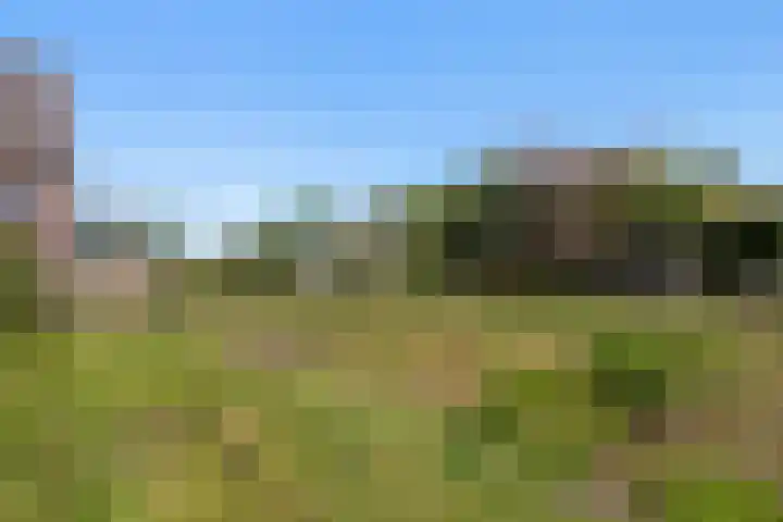Laan van Oud Raadwijk 2 Zoeterwoude thumbnail 26