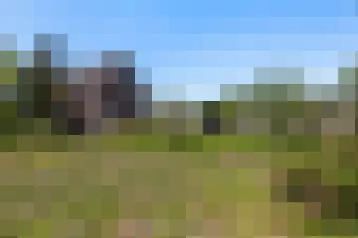 Laan van Oud Raadwijk 2 Zoeterwoude thumbnail 4