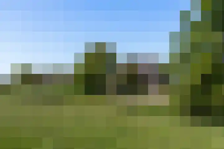 Laan van Oud Raadwijk 2 Zoeterwoude thumbnail 5