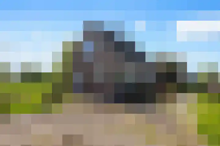 Laan van Oud Raadwijk 2 Zoeterwoude thumbnail 9