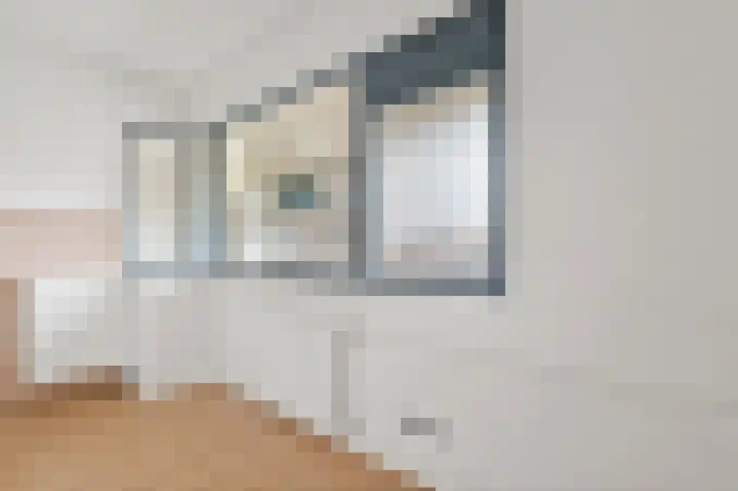 Laan van Ouderzorg 102 Leiderdorp thumbnail 20