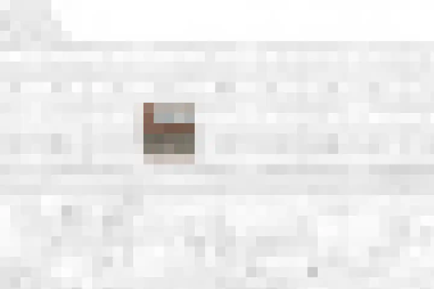 Laan van Ouderzorg 102 Leiderdorp thumbnail 26