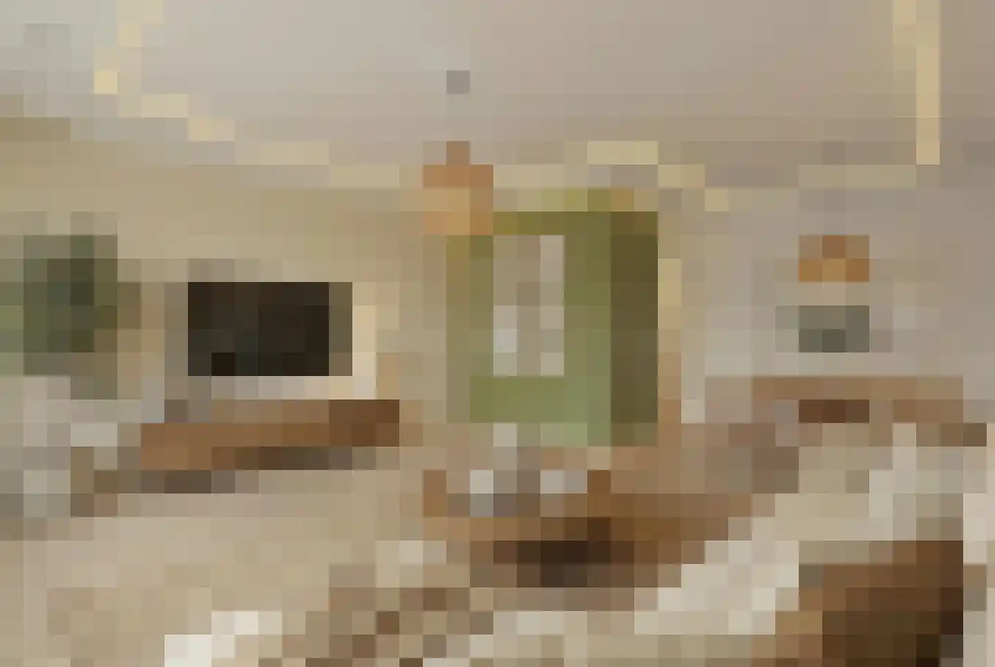 Laan van Ouderzorg 102 Leiderdorp foto 3