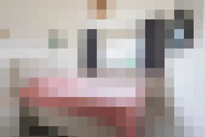Laan van Ouderzorg 108 Leiderdorp thumbnail 15