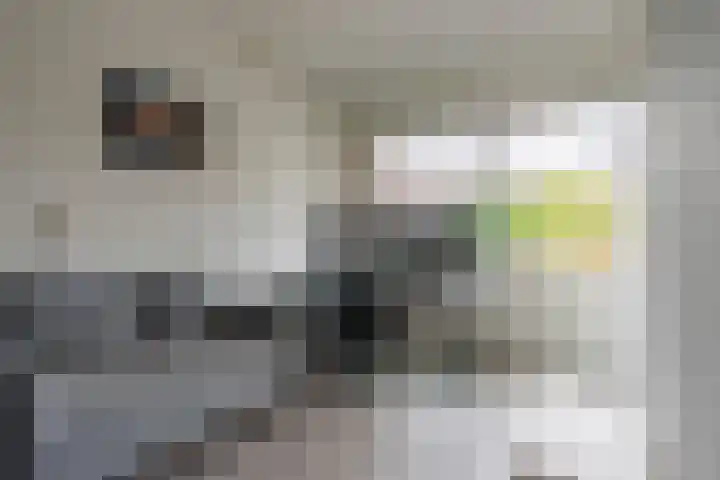 Laan van Ouderzorg 108 Leiderdorp thumbnail 20