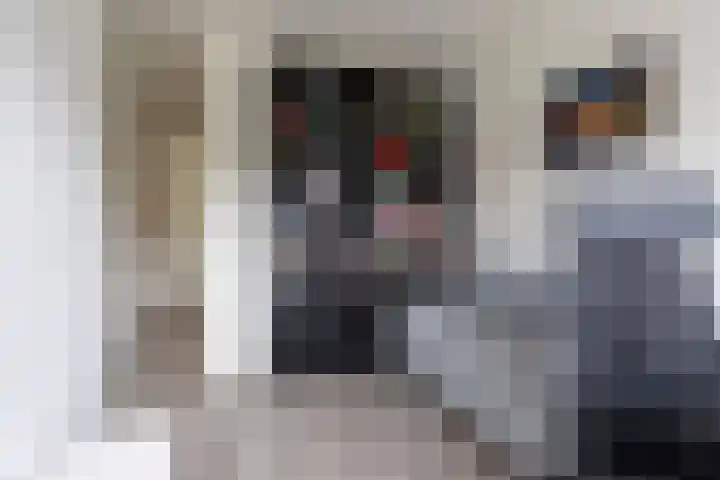 Laan van Ouderzorg 108 Leiderdorp thumbnail 23