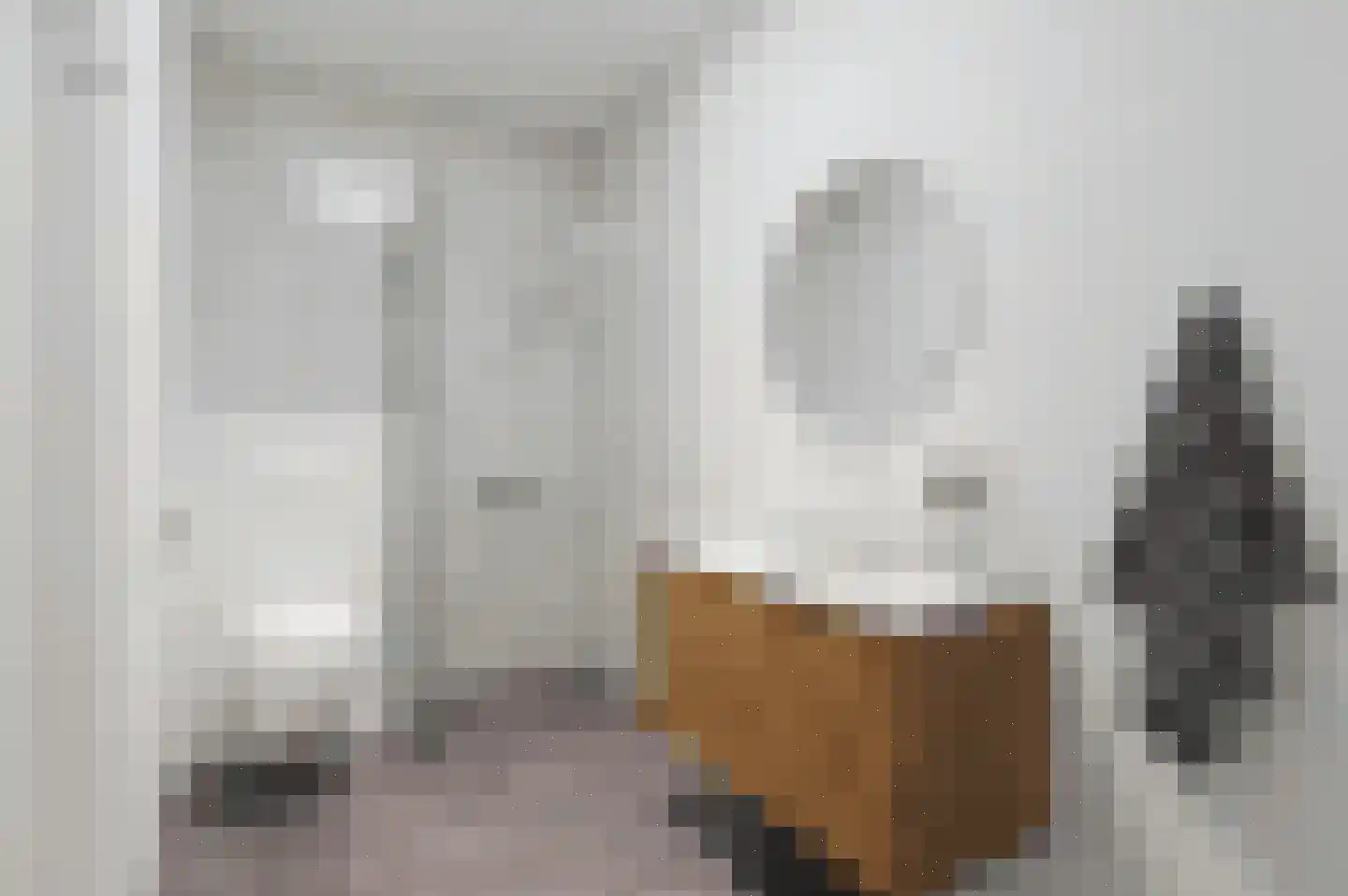Laan van Ouderzorg 114 Leiderdorp thumbnail 11