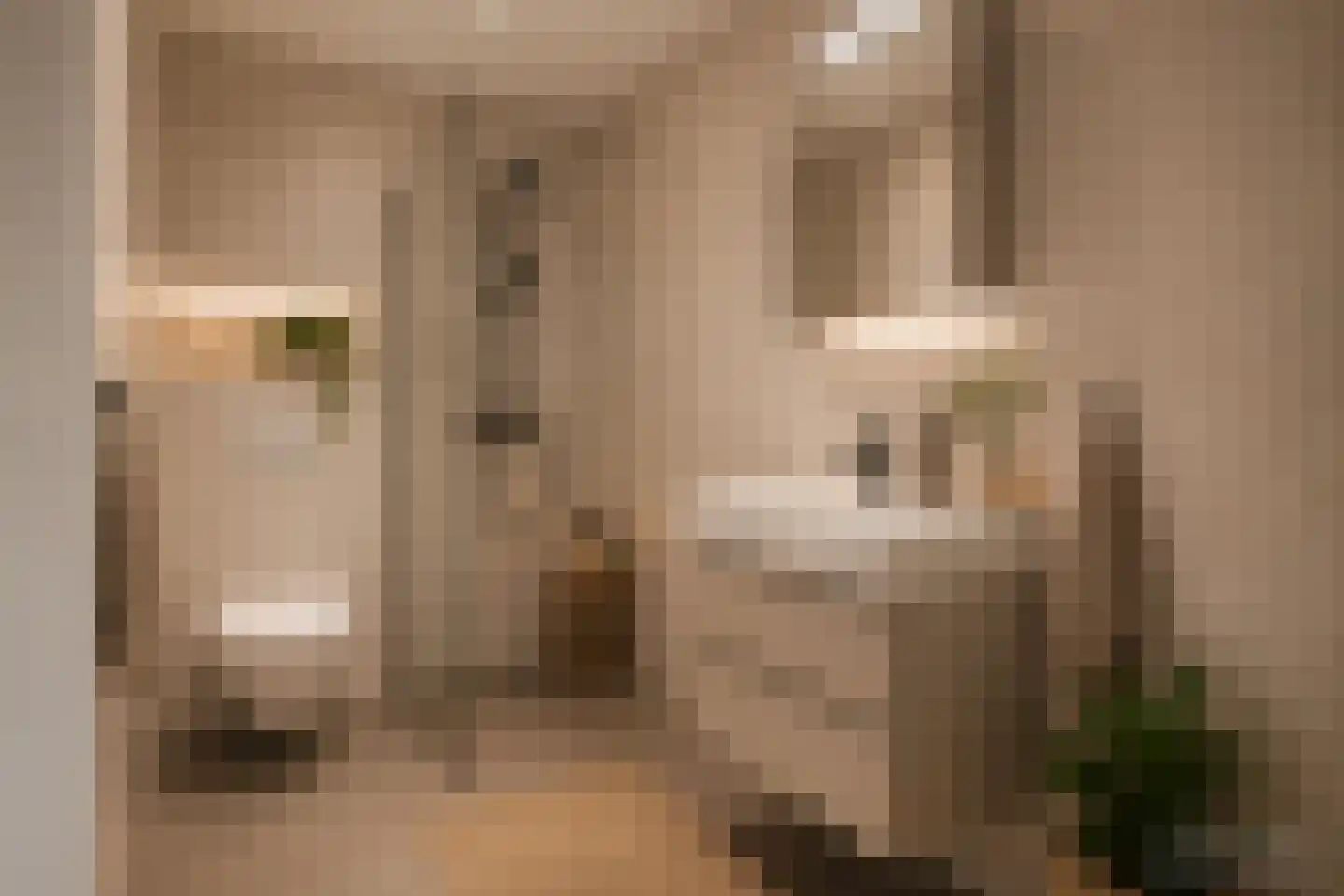 Laan van Ouderzorg 114 Leiderdorp thumbnail 12