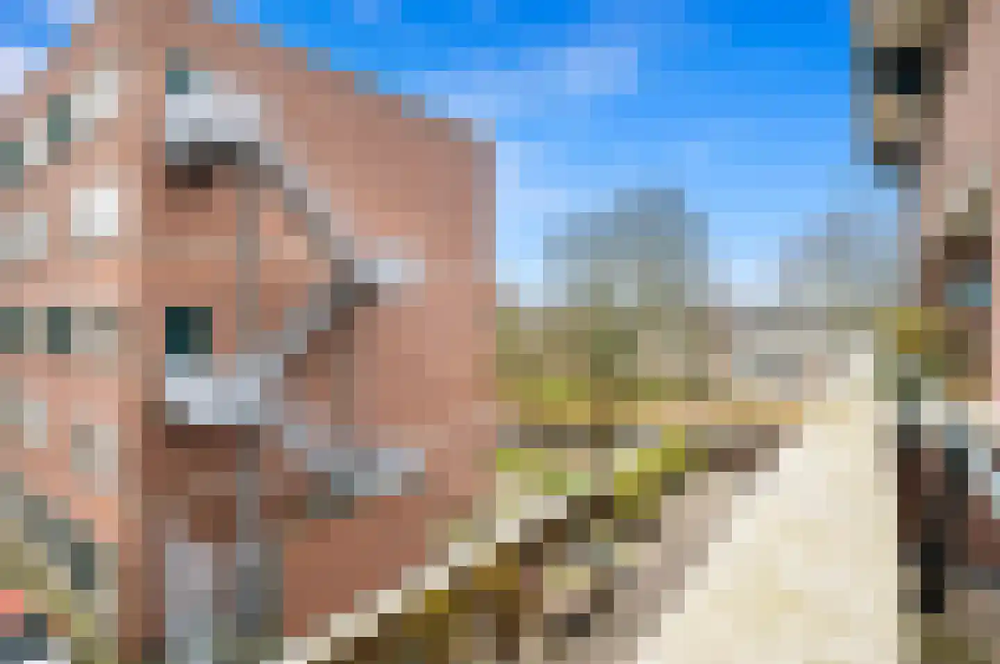 Laan van Ouderzorg 114 Leiderdorp thumbnail 34