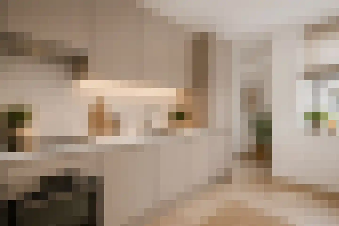 Laan van Ouderzorg 114 Leiderdorp thumbnail 8