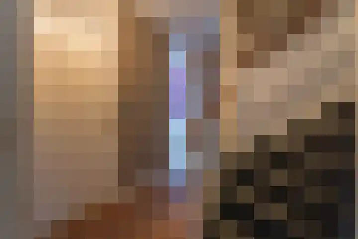 Laan van Ouderzorg 118 Leiderdorp thumbnail 22